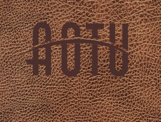 韋百戰(zhàn)的AOTU皮具英文字體商標(biāo)設(shè)計logo設(shè)計